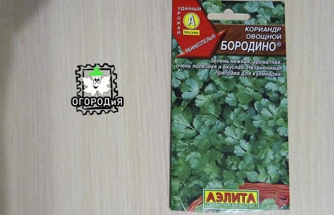 Vak na koriandru rostlinného Borodino