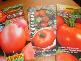 První úroda rajčat - začít s tím, co tříd?