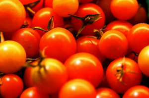 Užitečný zázrak hnojivo pro rajčata z kopřivy