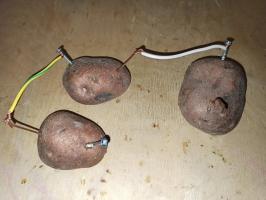 Elektřina z brambor - provést jednoduchý pokus