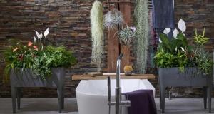 Rostliny v koupelně přispívají k blažené atmosféru. 6 variant z „live“ dekor