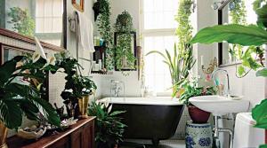 Pokojové rostliny pro stylovou koupelnu nebo jak přinést živý dotek do interiéru vašeho intimního prostoru