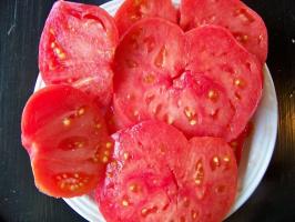 8 neobvyklé a lahodné odrůdy rajčat
