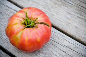Pěstovat chutné a dobré rajčata na lůžko