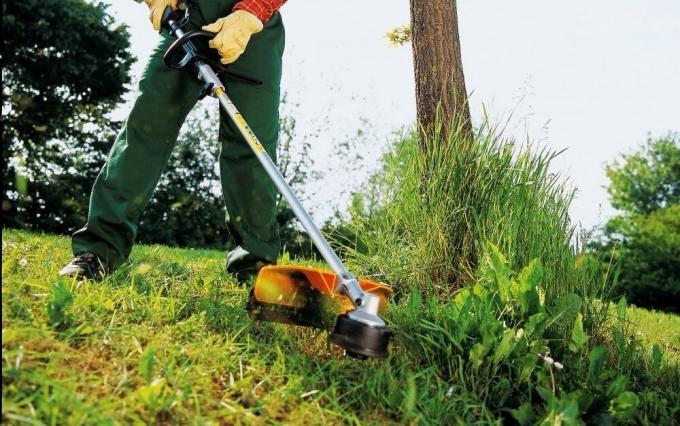 Nemůžete dělat hluk v nevhodnou dobu | ZikZak