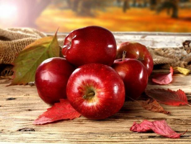Jaké jsou výhody jablek a mohou poškodit tělo