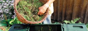Šest pravidla dobrého kompostu