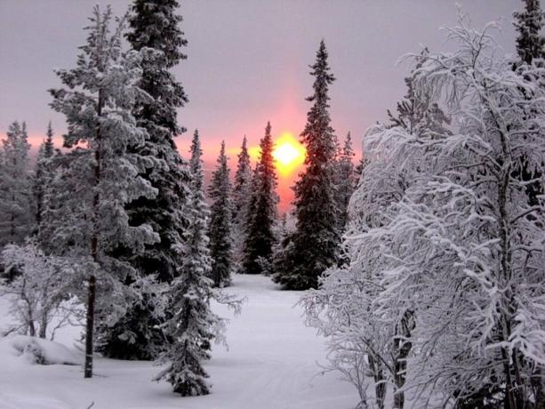 Nechť je tato zima bude alespoň na krásné fotografie. Zdroj: assets.oxu.az