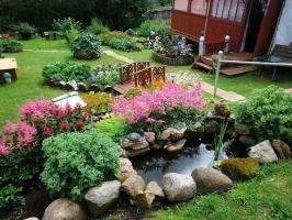Organizace víla zahrada na místě země, jak snadno organizovat živé rybník na vlastním pozemku