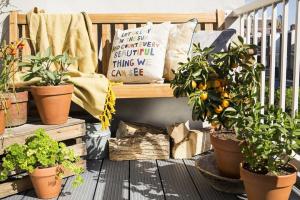 Jak se zdobí malý balkon, rostliny a květiny. 9 užitečné řešení.