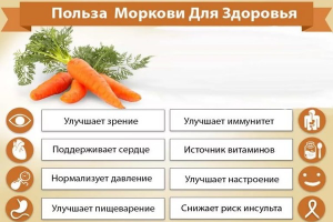 Jak užitečné mrkvová šťáva, recenze