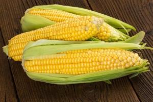Výhody a poškozuje kukuřice