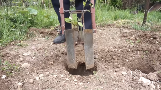 Postup používání nástroje: Gat sazenice ze země a v jednom kroku je transplantací