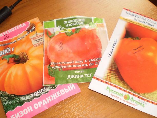 Mid-grade rajčata: Býčí srdce, Gina TST, Bison oranžový