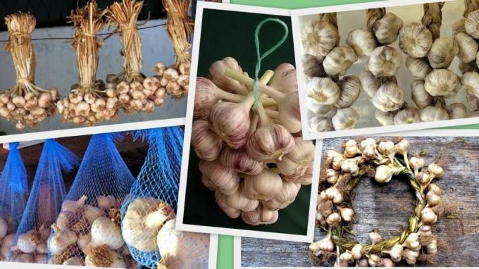 Cibule a česnek - to není jen zásoby: krásně tkané plodina se stává více a šikovný doplněk pro kuchyně nebo technická místnost. Ilustrace k článku převzaté z internetu