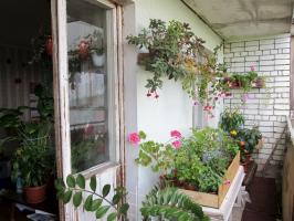 Jak vybavit zimní zahrady na balkoně