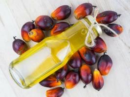 Jaké jsou prospěšné a škodlivé vlastnosti palmového oleje?