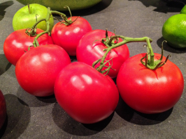 7 nejlepších rajčat trpasličí odrůdy (outdoor)