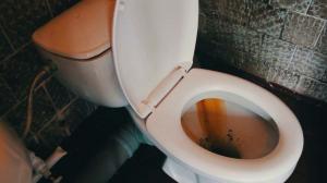 Jak rychle a snadno vyčistit záchod od rzi a žlutý plak?