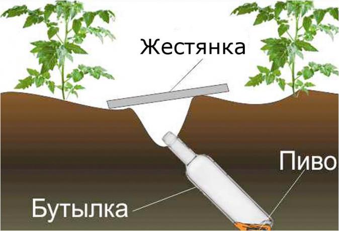 Design systém klopkan.ru site