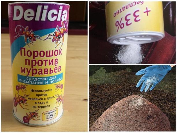 Delicia prášek z mravenců, náklady na 500 g, více než 600 rublů.