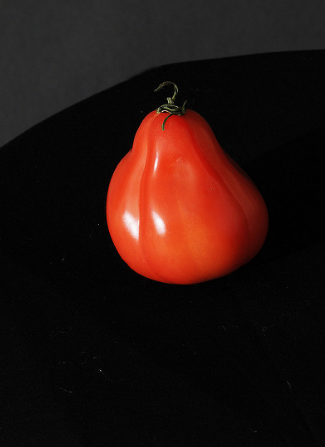 Rozmanitost rajče „Puzata chatě“