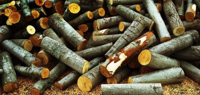 Aspen dřevo dokonale vyčistit komín saze