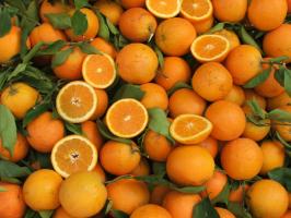 Kdo by neměl jíst mandarinky?