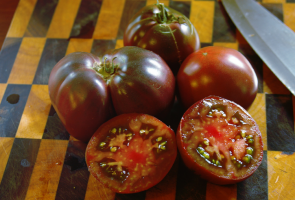 5 druhů chutných rajčat s fialovými tóny