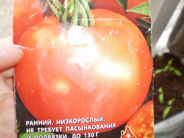 Odrůda rajčete „vyplňování White 241 '