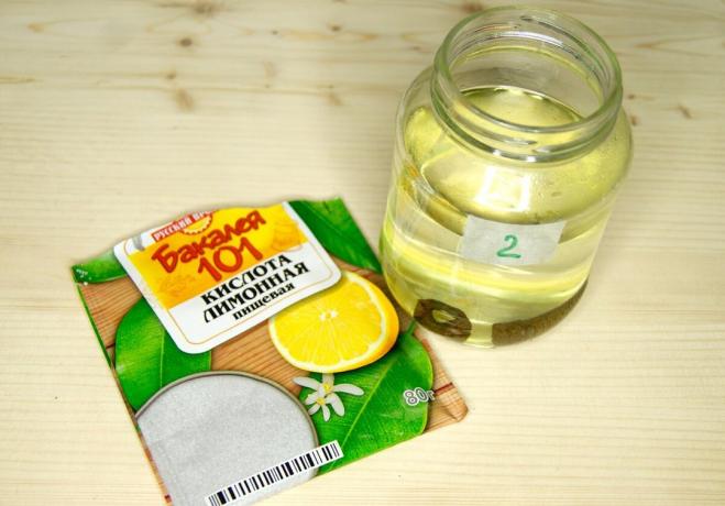 Jídlo kyselina citrónová