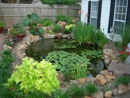 Jak vyrobit dekorativní rybník v zemi