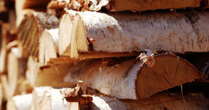 Březové dřevo je téměř ideální pro topeniště pece