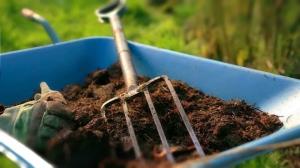 4 nejlepších způsobů, jak používat rašeliny v zahradě. A některá rizika